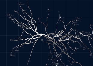 Neurofeedback