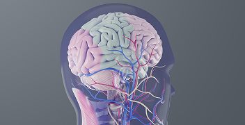 Apollo TMS (Transcranial Magnetic Stimulation) img