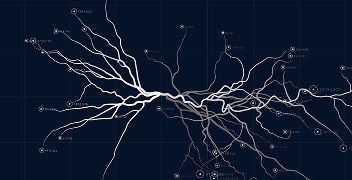 Neurofeedback