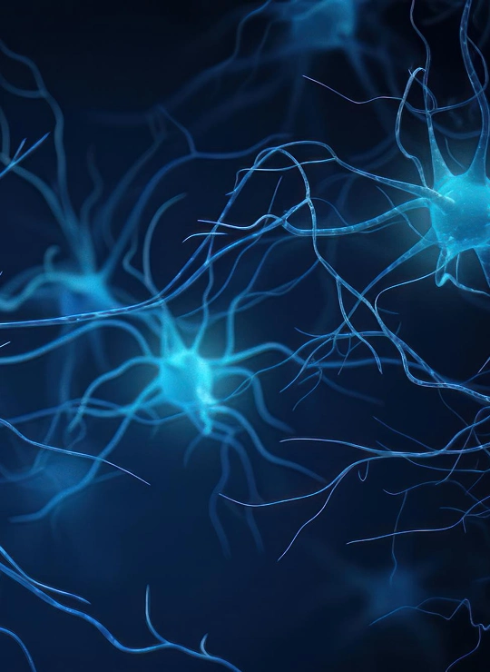 Neurofeedback Treatment Overview in Burbank