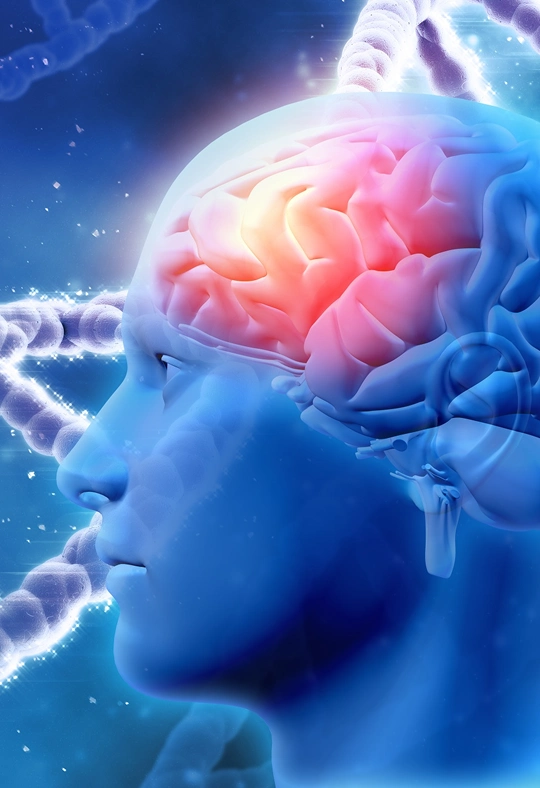 Neurofeedback Treatment Overview in Thousand Oaks img