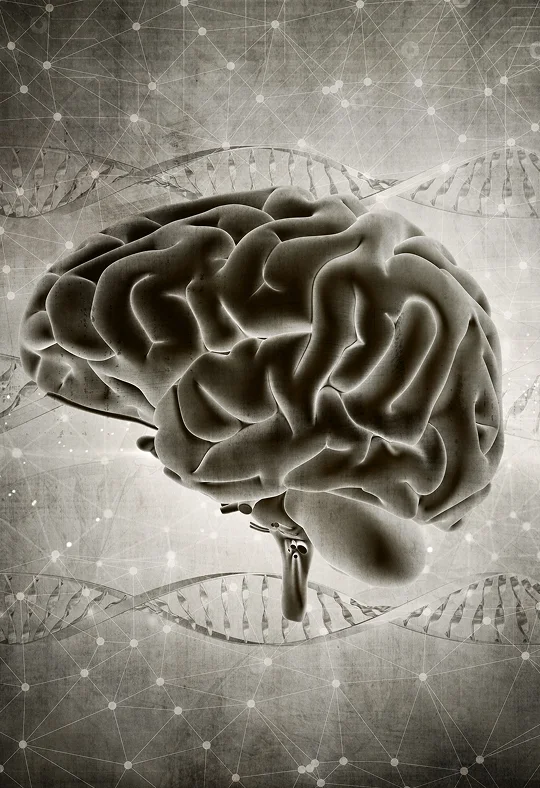 Neurofeedback Treatment Overview in West Hills img